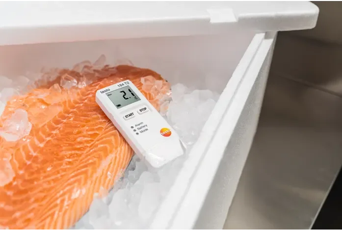 کاربرد دیتالاگر دما تستو مدل Testo 184-T2
